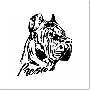 Perro de Presa Canario - Dogo Canario Posters and Art